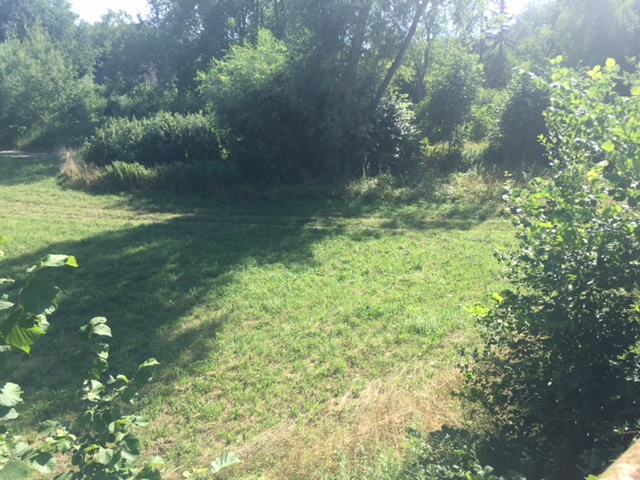 drazby.exekutori.cz 120 EX 10691/09 1/2 pozemků v k.ú. Písková